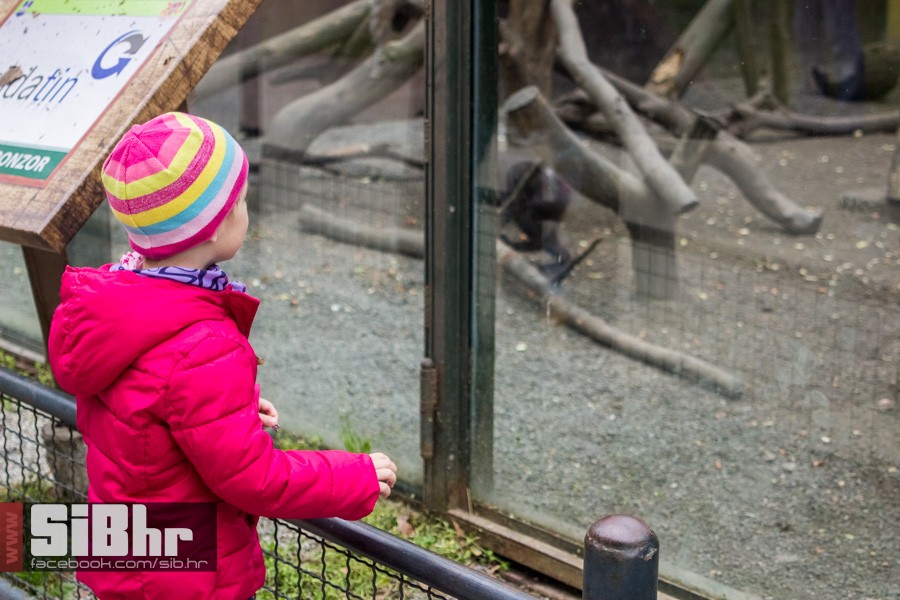 zoo_uskrs_2016_sibhr_61