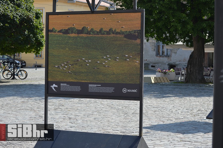 national_geographic_izlozba_osi