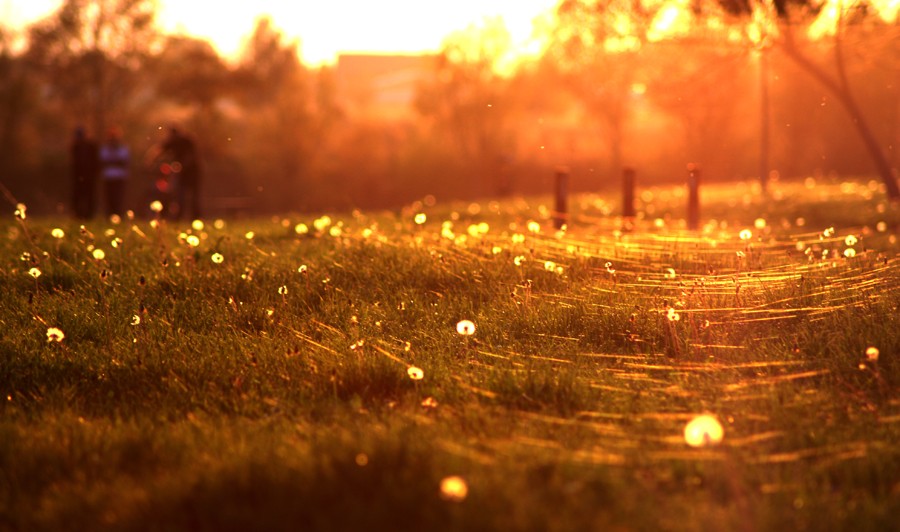 osijek_robert_marinkovic_30