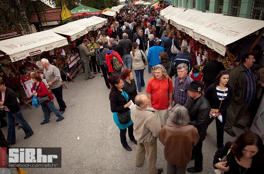 kopacevo_ribarski_dani_2012_sib