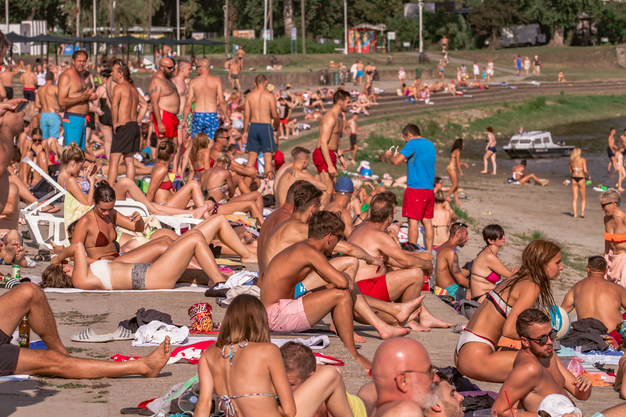 Kopika kolovoz 2020.