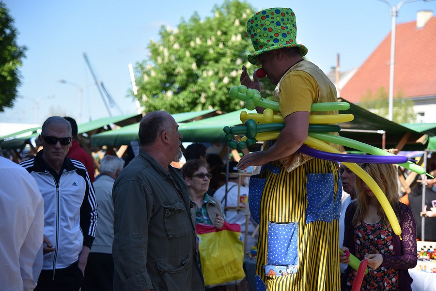 nasice_vino_turizam2504n_02