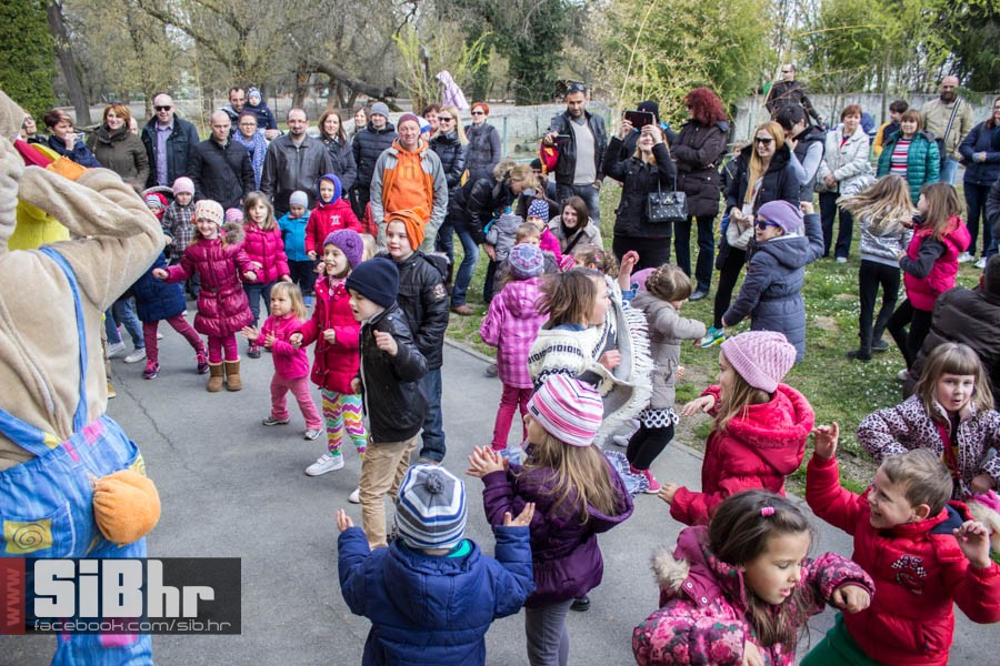 zoo_vrt_117