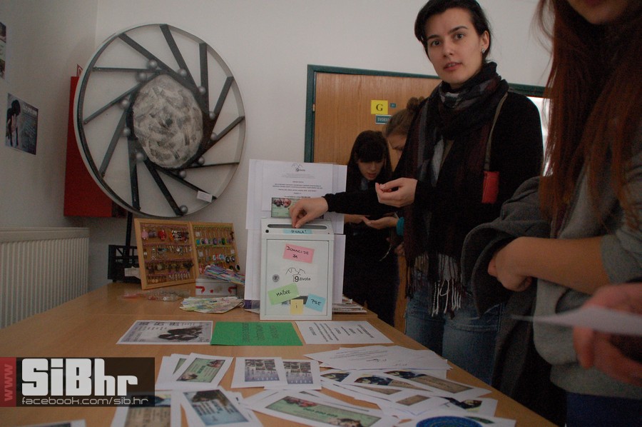 animalizam_07 animalizam_07