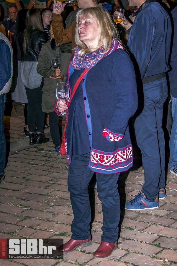 Vecer_vina_i_umjetnosti_SiB_hr-