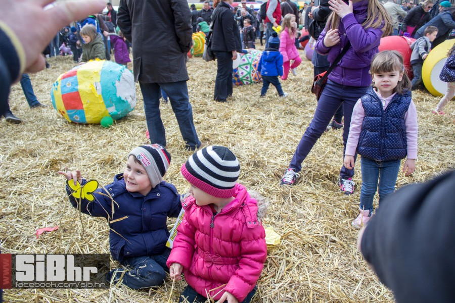 gnijezdo2015_67
