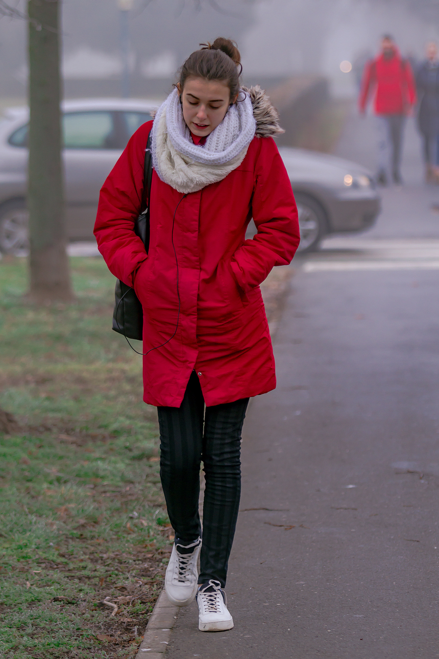 Image 4052145 (auto)