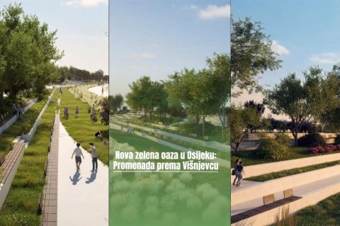 870×540 (33) 870×540 (33)