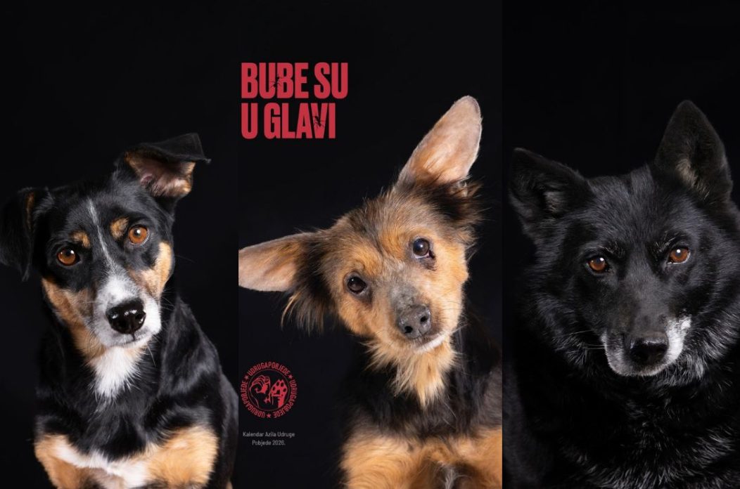 870×540 (42) 870×540 (42)