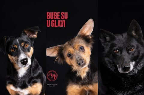 870×540 (42) 870×540 (42)