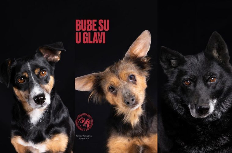 870×540 (42) 870×540 (42)