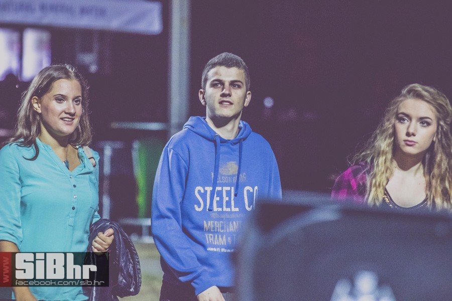 pannonian_petak2015_SiBhr84