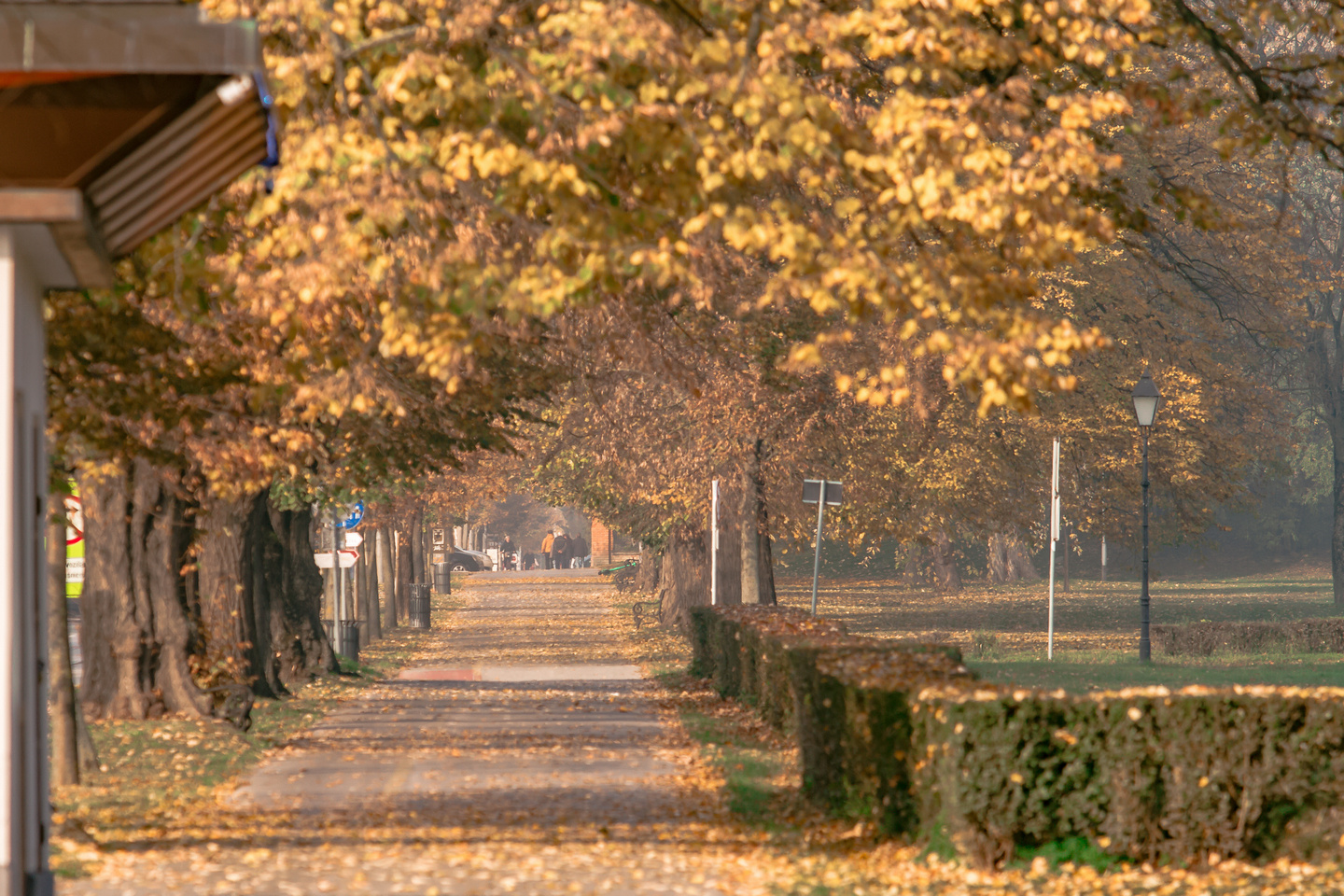 Osijek u jesen
