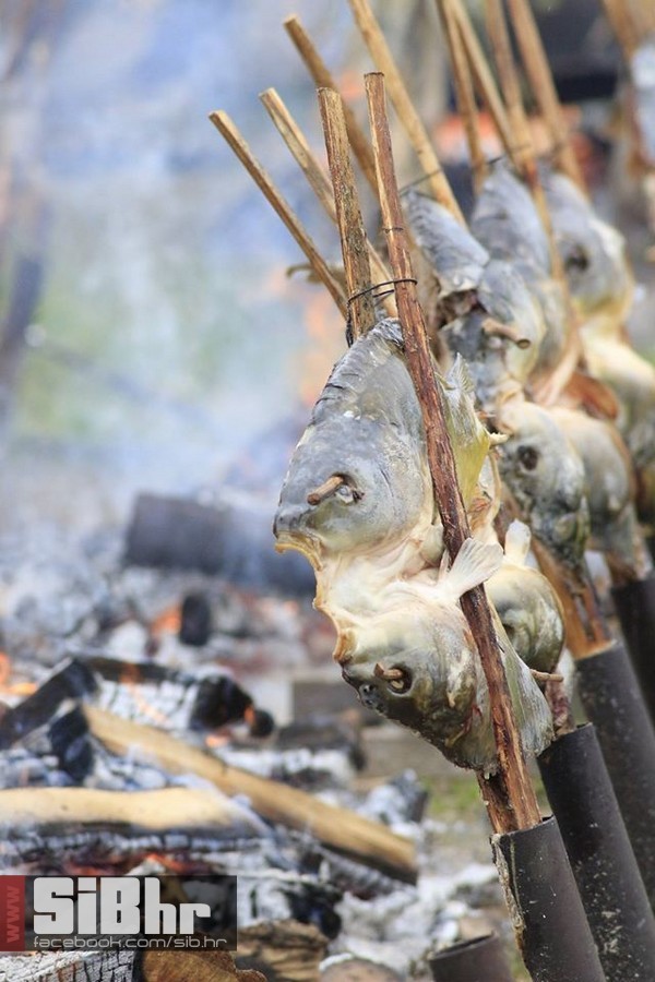 dani_ribe_SiB_hr_17 dani_ribe_SiB_hr_17