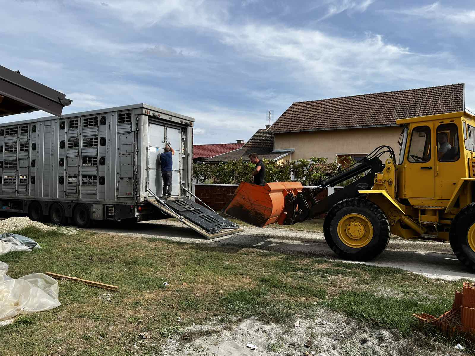Nesreća kamiona s svinjama