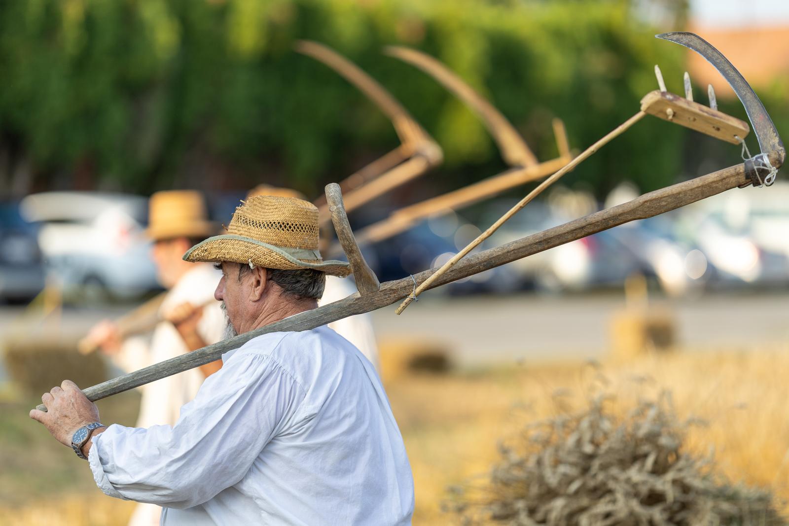 Održane jubilarne 30. Petrijevačke žetvene svečanosti