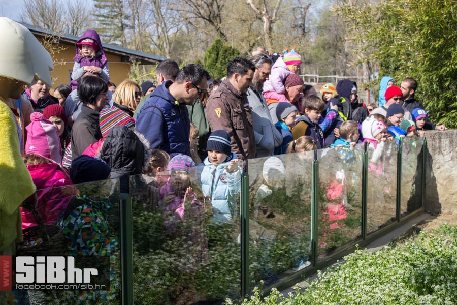 zoo_vrt_21