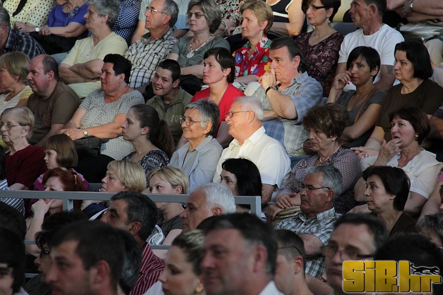 zvonko_bogdan_29_05_2011_sibhr_