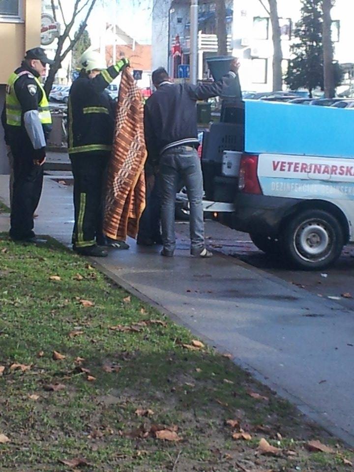vatrogasci_sova_osijek_1