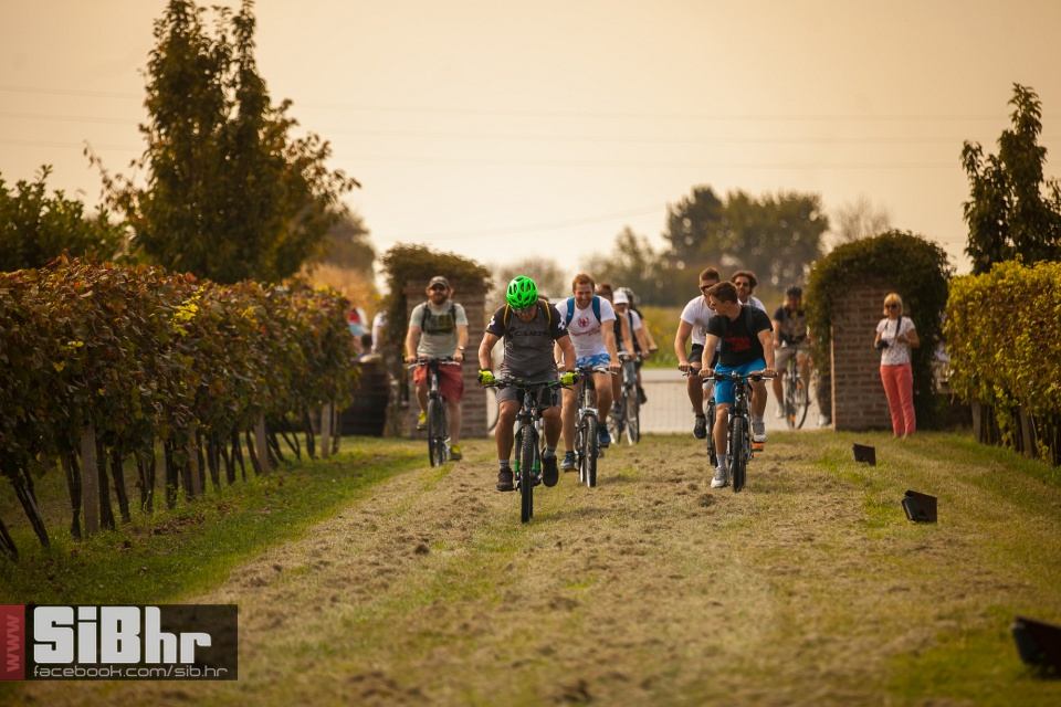 wine_fest_erdut_2016_SiBhr_1