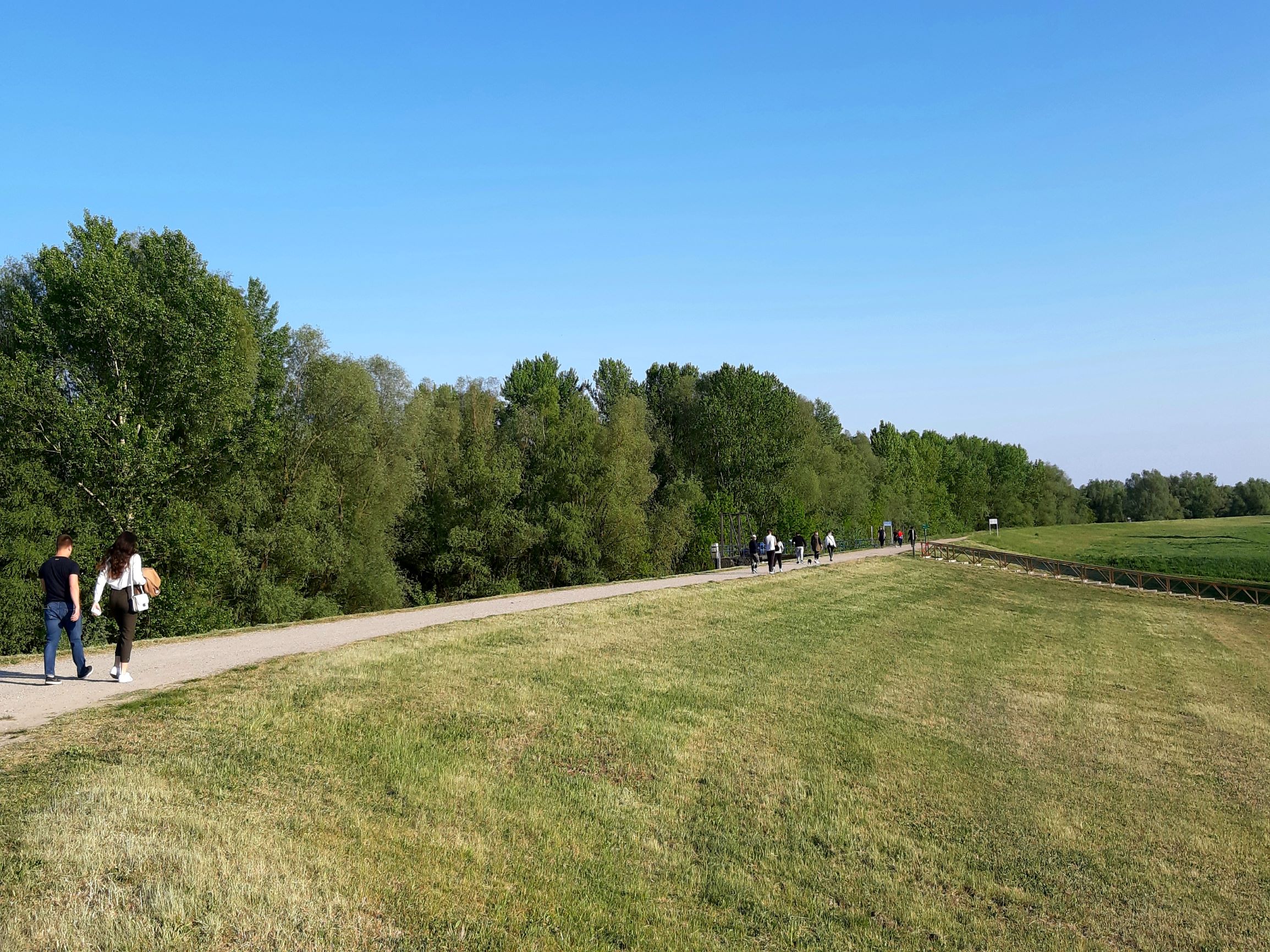Osječani pohrlili u Baranju – šetnje od Kopačkog rita pa do Tikveša
