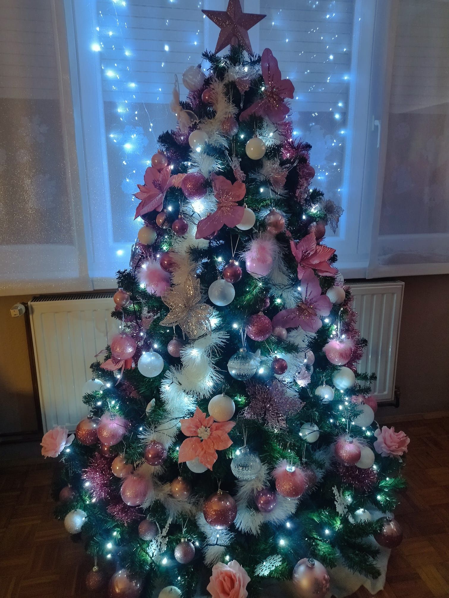 Najljepši borovi na Božić 2023. Najljepši borovi na Božić 2023.