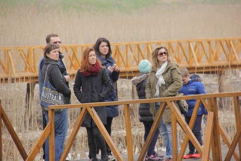 kopacki_rit_ozujak2015_SiBhr_13