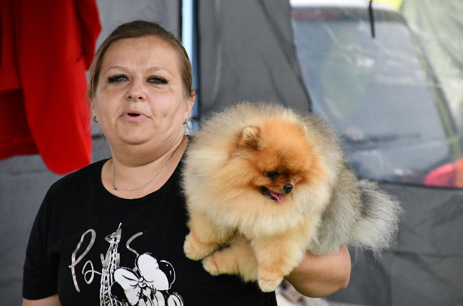 Nacionalna izložba pasa svih pasmina u Slavonskom Brodu