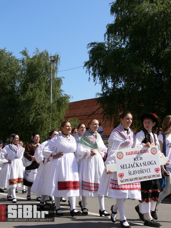 49djakovacki_vezovi_134