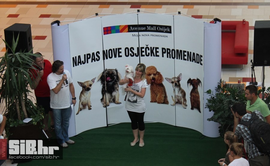 najpas_sibhr_4