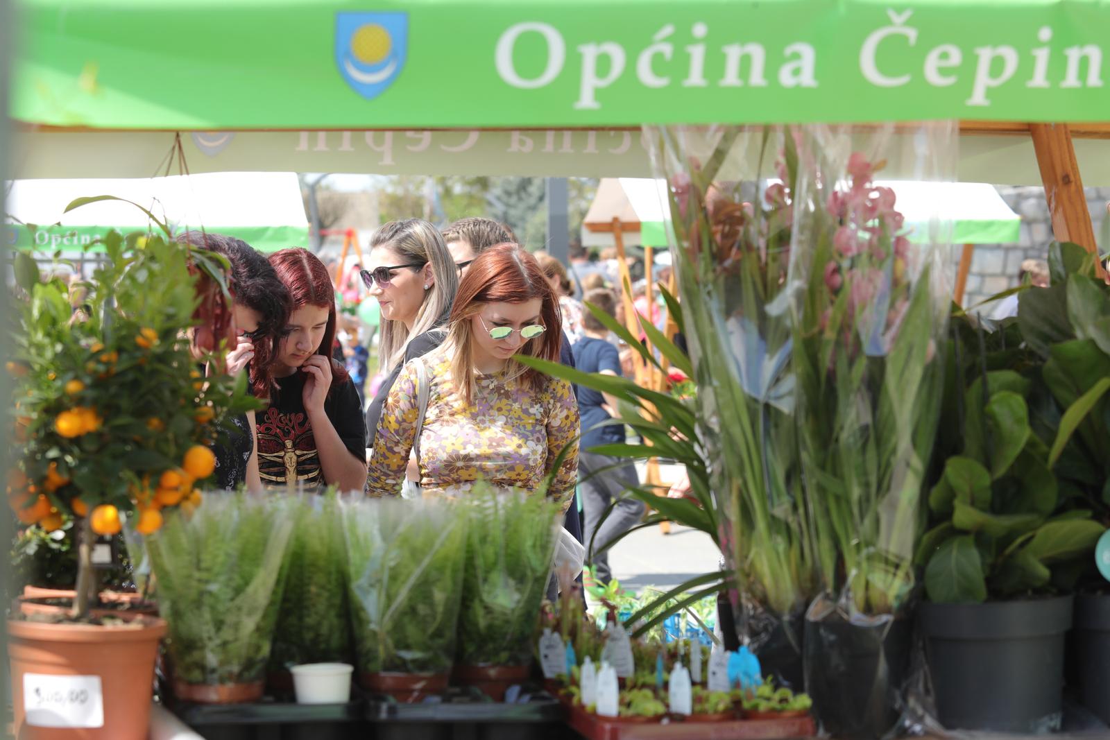 Proljetni sajam u Čepinu Proljetni sajam u Čepinu