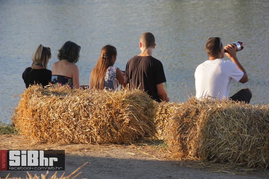 slama2015_subota_SiBhr11