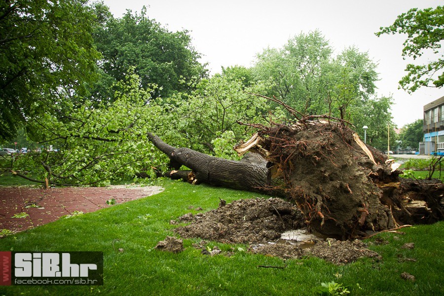 unisten_zrinjevac_11052013_sibh unisten_zrinjevac_11052013_sibh