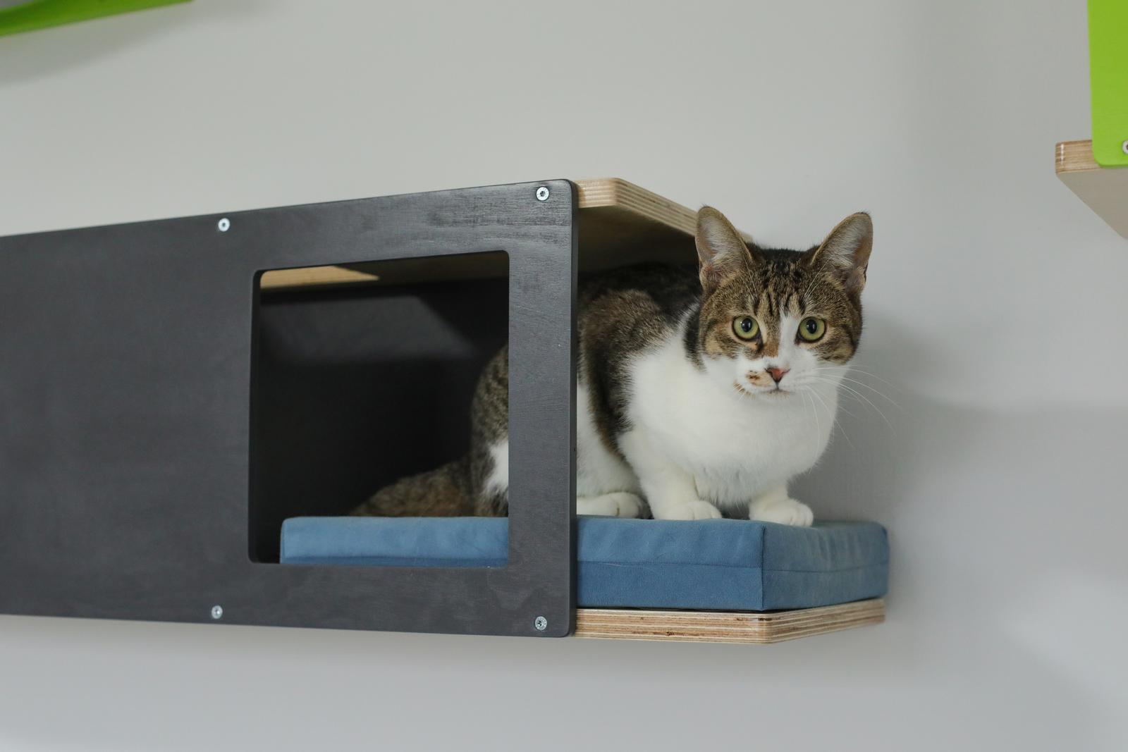 Udruga 9 života Udruga 9 života