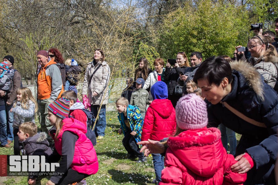 zoo_vrt_112
