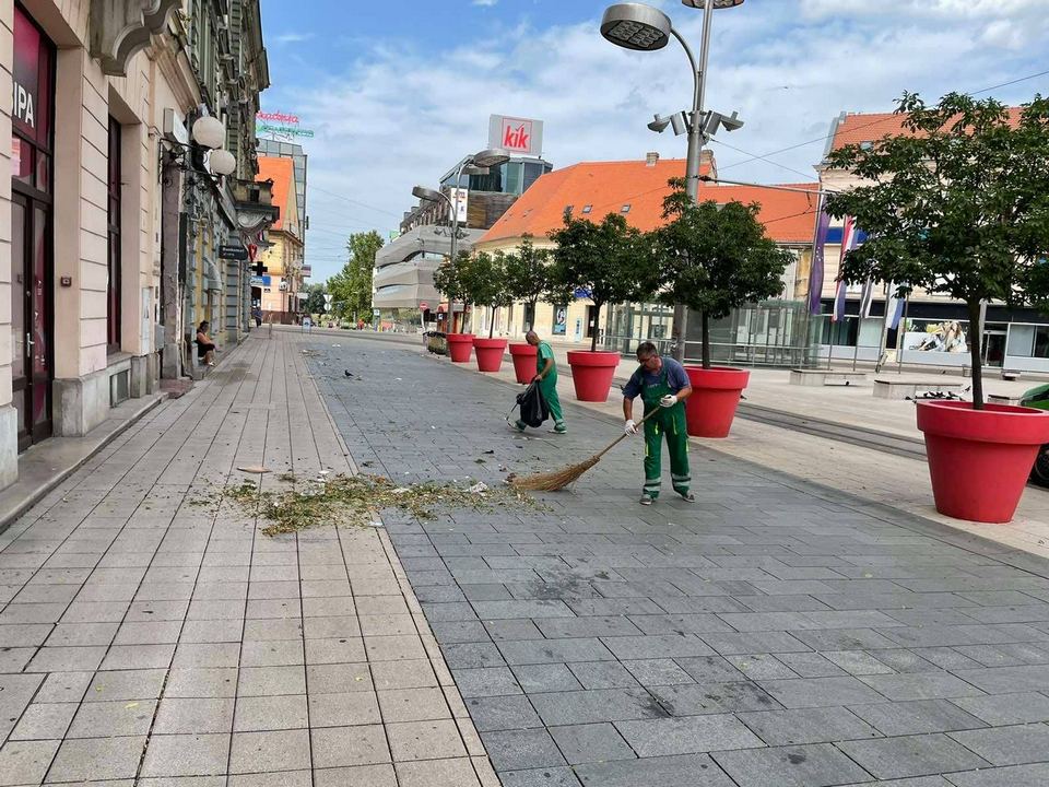 Olujni vjetar rušio drva u Osijeku