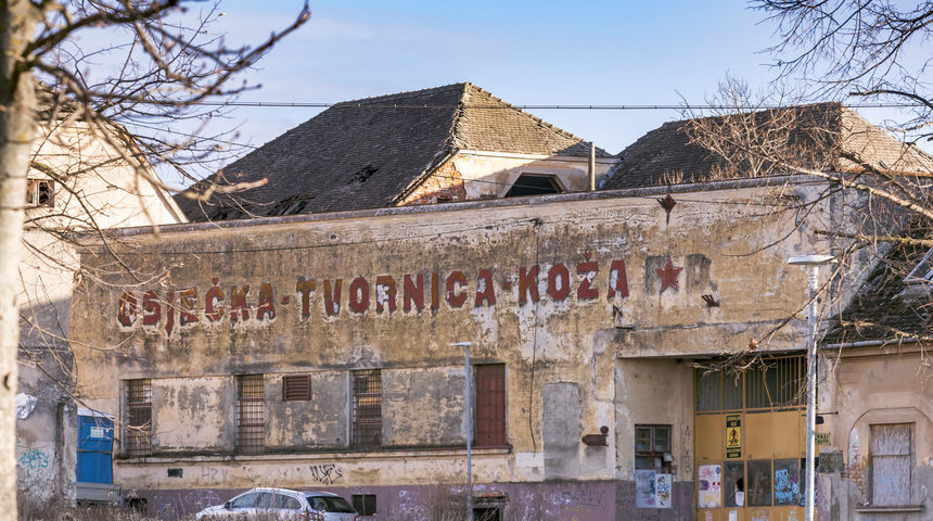 kožara