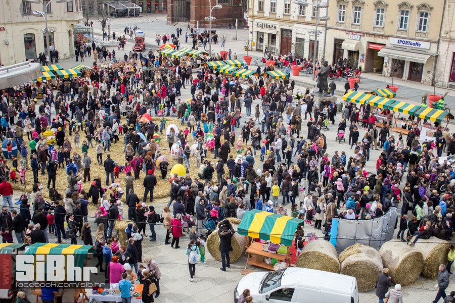 gnijezdo2015_62