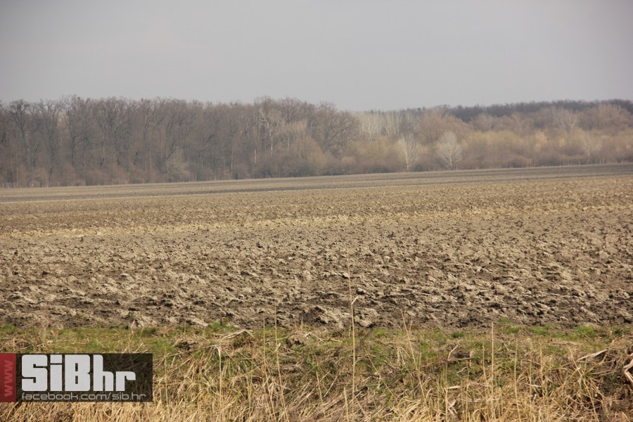 kopacki_rit_ozujak2015_SiBhr_35