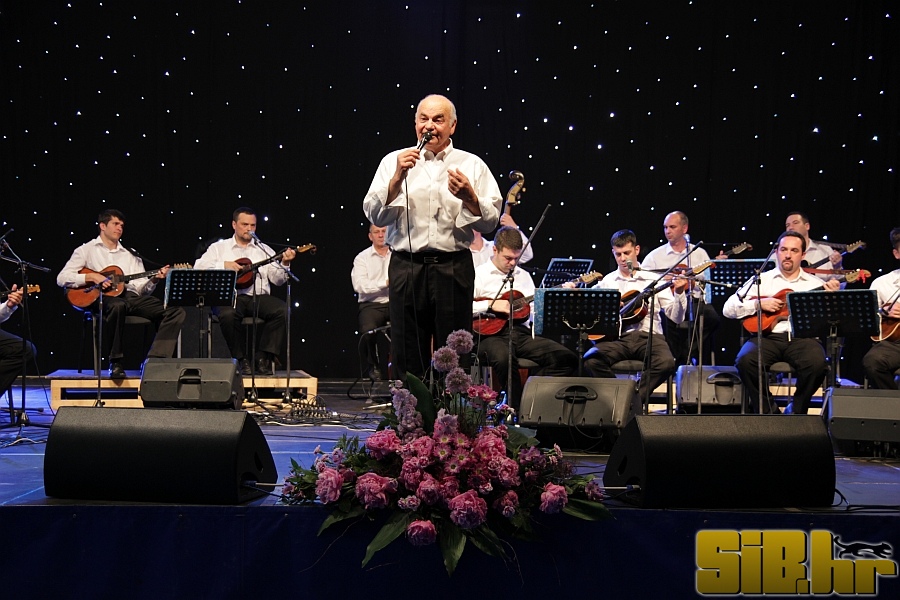 zvonko_bogdan_29_05_2011_sibhr_