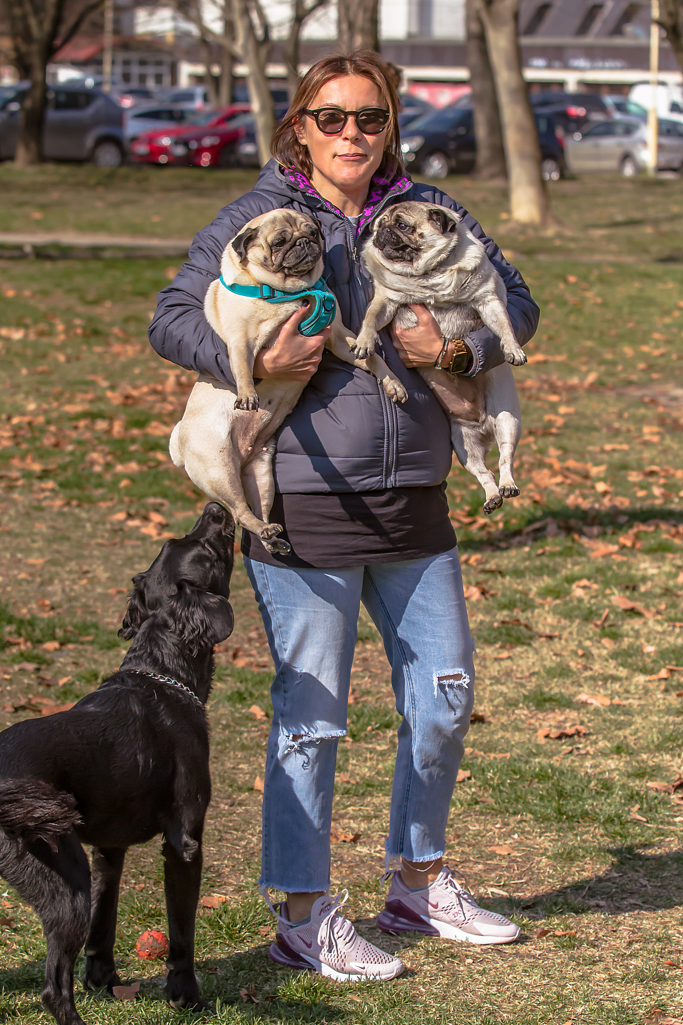 Image 5262170 (auto)