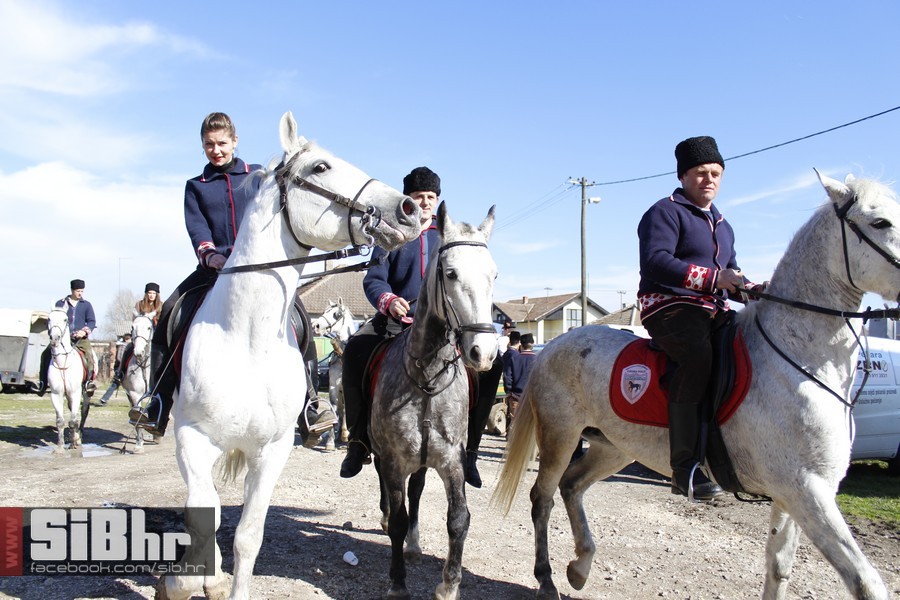 baranja_jahanje_7 baranja_jahanje_7
