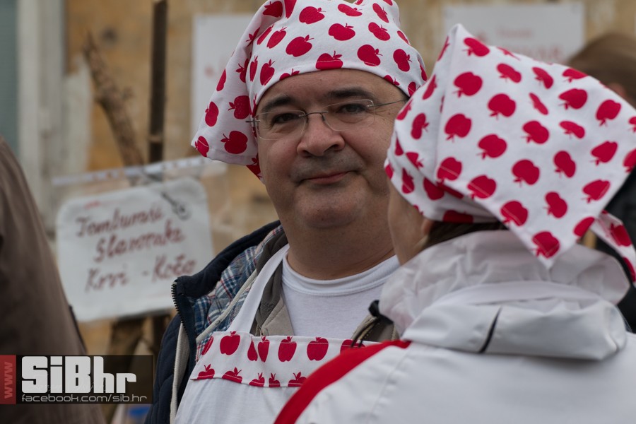 geza_2016_sibhr_05