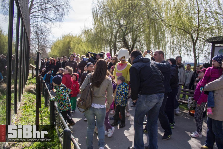 zoo_vrt_35