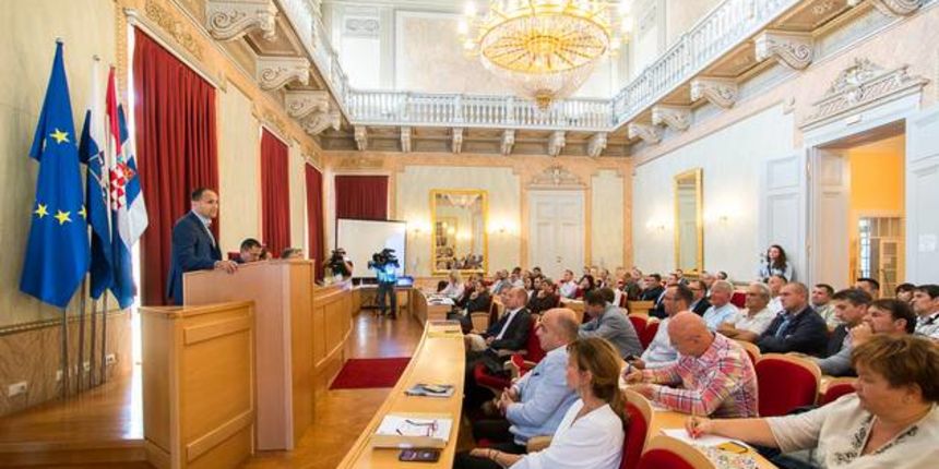 zupan-skupstina zupan-skupstina