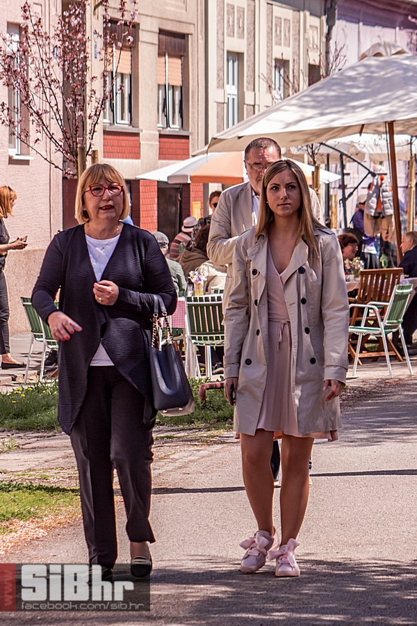 ulica_ringlova_ivica_benic_sibh