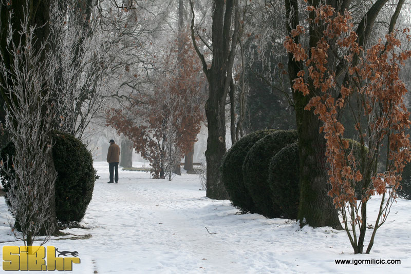 osijek_018
