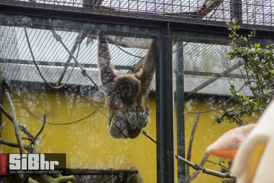 zoo_uskrs_2016_sibhr_55