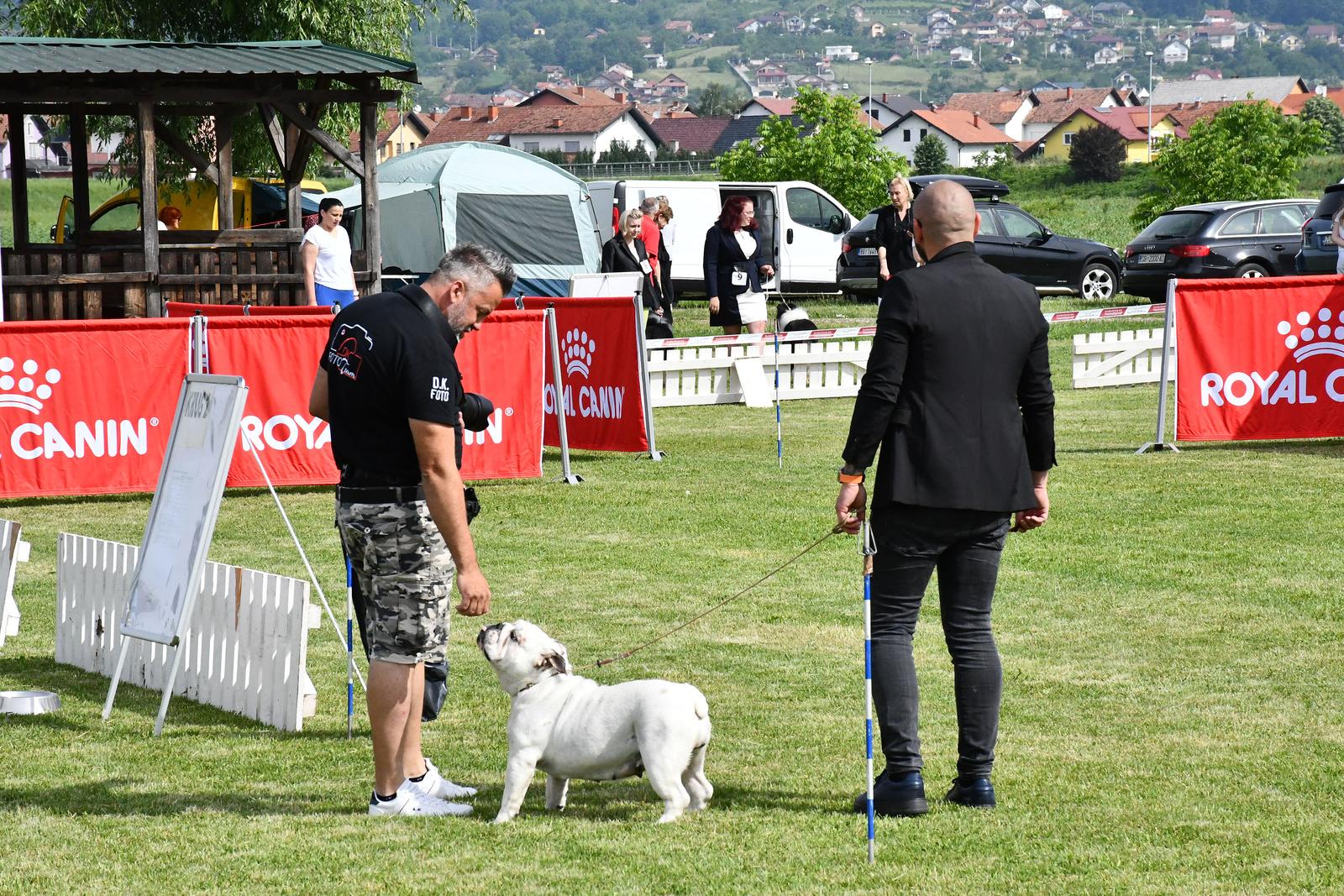 Nacionalna izložba pasa svih pasmina u Slavonskom Brodu