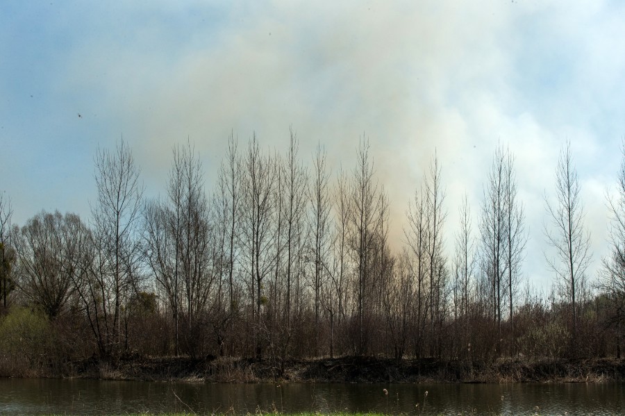 PXL_170319_23967625-900×599
